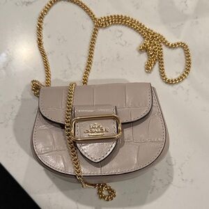 Coach Grey Birch Mini Bag with Gold Chain